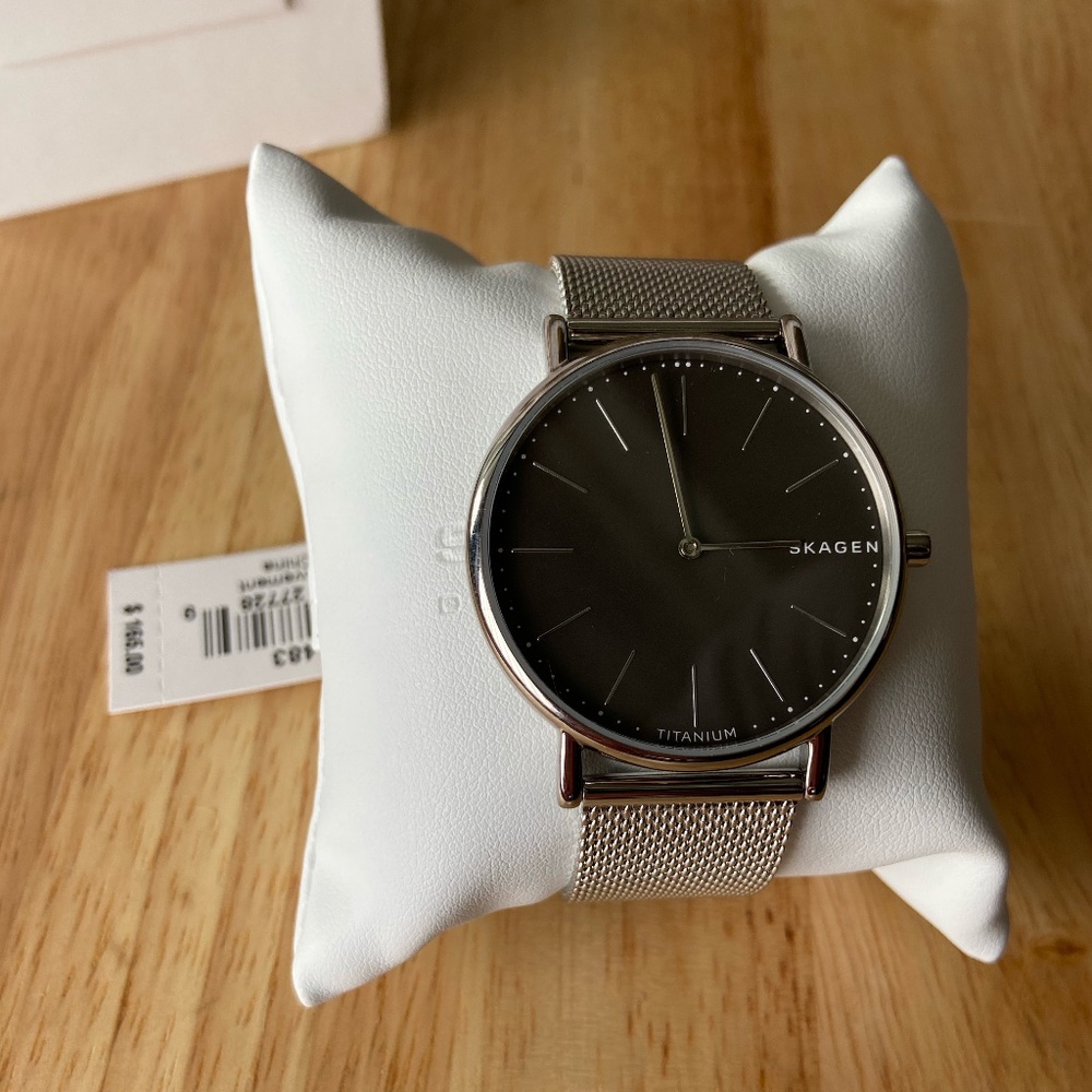 Skagen Slim Titanium and Steel Mesh Watch